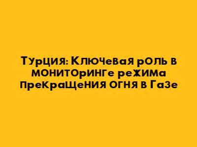 Турция: Ключевая роль в мониторинге режима прекращения огня в Газе