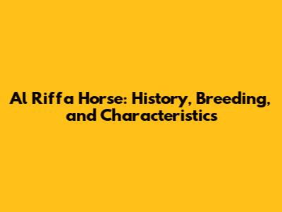 Al Riffa Horse: History, Breeding, and Characteristics