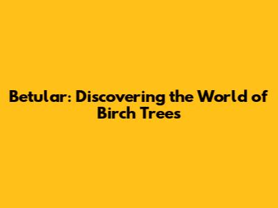 Betular: Discovering the World of Birch Trees