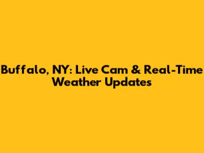 Buffalo, NY: Live Cam & Real-Time Weather Updates