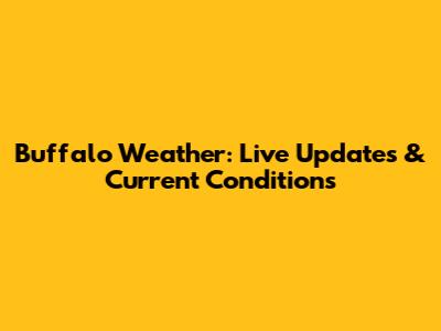 Buffalo Weather: Live Updates & Current Conditions