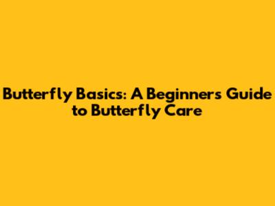 Butterfly Basics: A Beginner's Guide to Butterfly Care