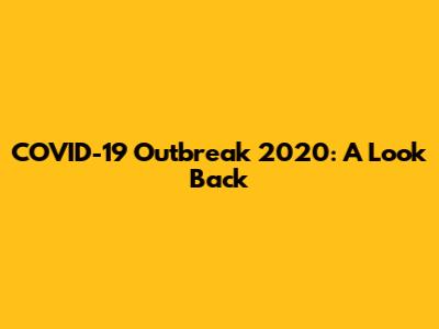 COVID-19 Outbreak 2020: A Look Back