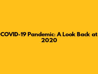 COVID-19 Pandemic: A Look Back at 2020