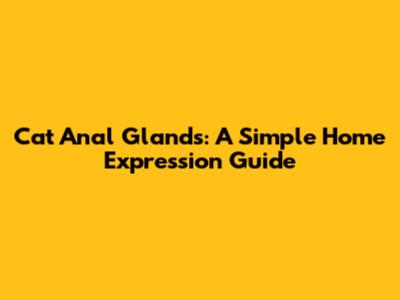 Cat Anal Glands: A Simple Home Expression Guide