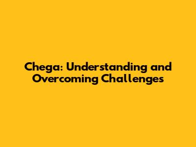 Chega: Understanding and Overcoming Challenges