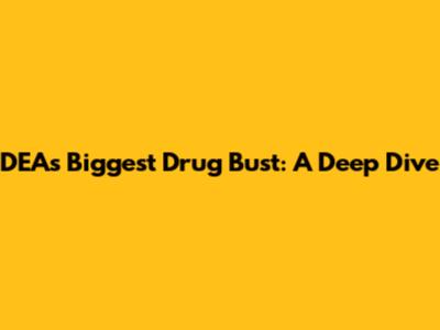 DEA's Biggest Drug Bust: A Deep Dive