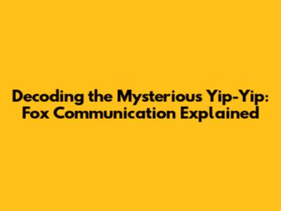 Decoding the Mysterious Yip-Yip: Fox Communication Explained