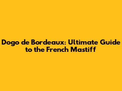 Dogo de Bordeaux: Ultimate Guide to the French Mastiff