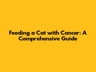 Feeding a Cat with Cancer: A Comprehensive Guide