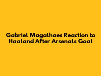Gabriel Magalhaes' Reaction to Haaland After Arsenal's Goal