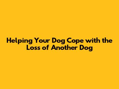 Helping Your Dog Cope with the Loss of Another Dog