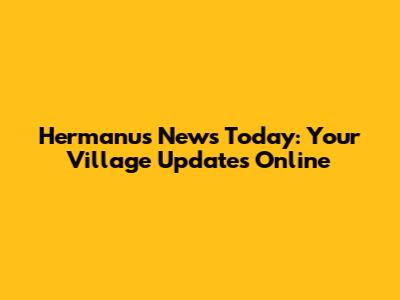 Hermanus News Today: Your Village Updates Online