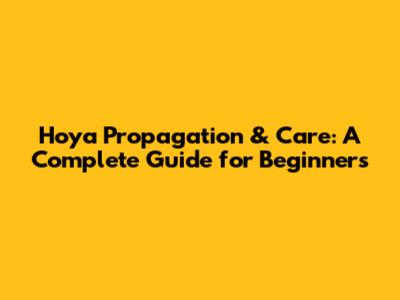 Hoya Propagation & Care: A Complete Guide for Beginners