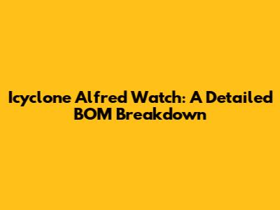 Icyclone Alfred Watch: A Detailed BOM Breakdown