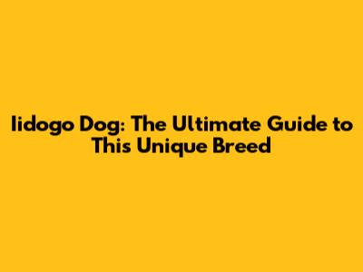 Iidogo Dog: The Ultimate Guide to This Unique Breed