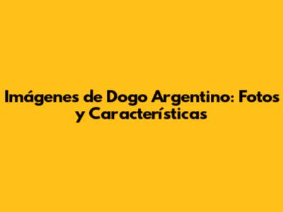 Imágenes de Dogo Argentino: Fotos y Características