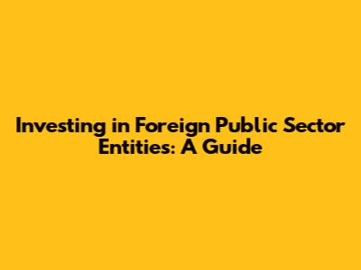 Investing in Foreign Public Sector Entities: A Guide