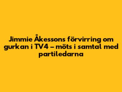 Jimmie Åkessons förvirring om gurkan i TV4 – möts i samtal med partiledarna
