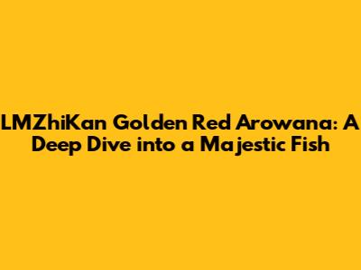 LMZhiKan Golden Red Arowana: A Deep Dive into a Majestic Fish