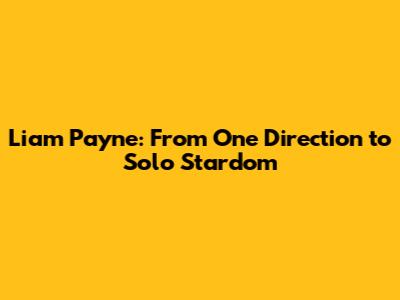 Liam Payne: From One Direction to Solo Stardom