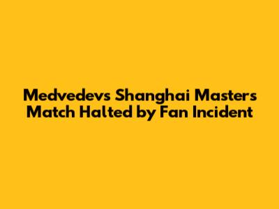 Medvedev's Shanghai Masters Match Halted by Fan Incident