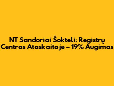 NT Sandoriai Šokteli: Registrų Centras Ataskaitoje – 19% Augimas