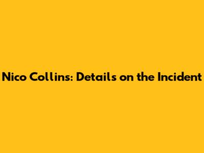 Nico Collins: Details on the Incident