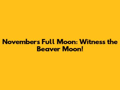 November's Full Moon: Witness the Beaver Moon!