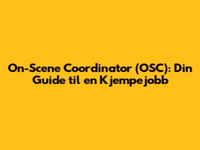 On-Scene Coordinator (OSC): Din Guide til en Kjempejobb