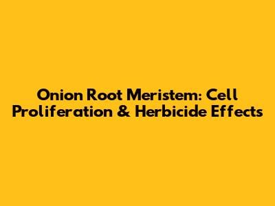 Onion Root Meristem: Cell Proliferation & Herbicide Effects