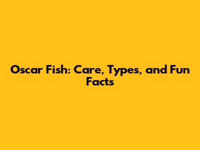 Oscar Fish: Care, Types, and Fun Facts