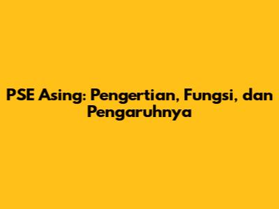 PSE Asing: Pengertian, Fungsi, dan Pengaruhnya