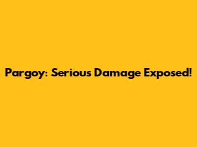 Pargoy: Serious Damage Exposed!