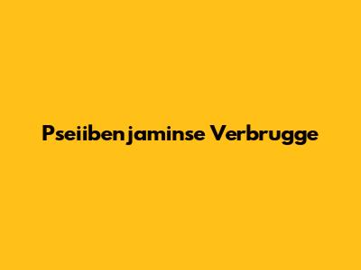 Pseiibenjaminse Verbrugge