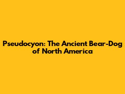 Pseudocyon: The Ancient Bear-Dog of North America