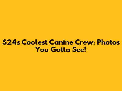 S24's Coolest Canine Crew: Photos You Gotta See!