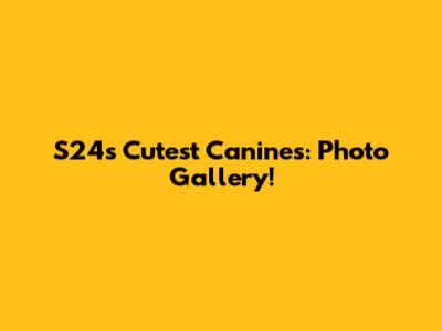 S24's Cutest Canines: Photo Gallery!