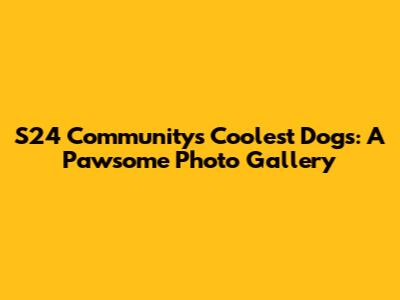 S24 Community's Coolest Dogs: A Pawsome Photo Gallery