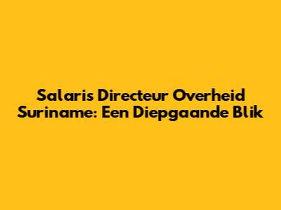 Salaris Directeur Overheid Suriname: Een Diepgaande Blik