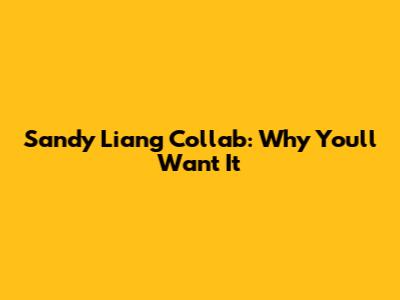 Sandy Liang Collab: Why You'll Want It