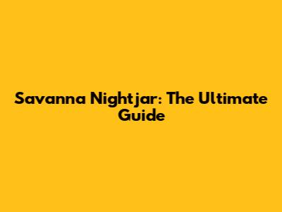 Savanna Nightjar: The Ultimate Guide
