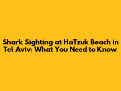 Shark Sighting at HaTzuk Beach in Tel Aviv: What You Need to Know