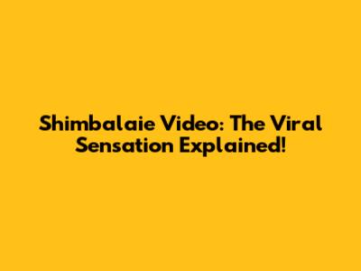Shimbalaie Video: The Viral Sensation Explained!