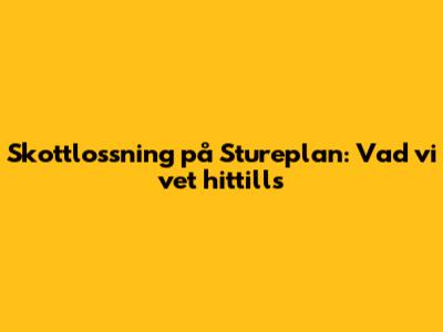 Skottlossning på Stureplan: Vad vi vet hittills