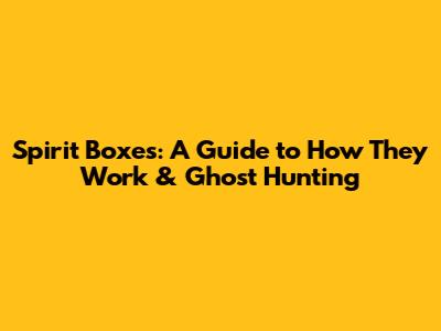 Spirit Boxes: A Guide to How They Work & Ghost Hunting