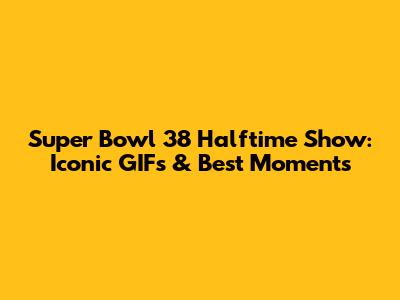 Super Bowl 38 Halftime Show: Iconic GIFs & Best Moments