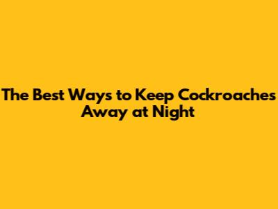 The Best Ways to Keep Cockroaches Away at Night
