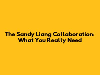 The Sandy Liang Collaboration: What You Really Need