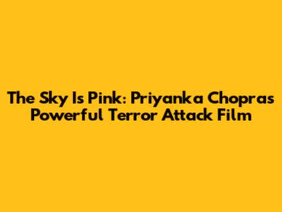 The Sky Is Pink: Priyanka Chopra's Powerful Terror Attack Film
